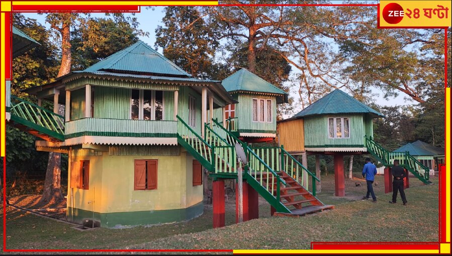 Jalpaiguri: গোধূলির দ্যুতিতে মায়াময় গহন অরণ্যের কটেজ! নামতে শুরু করেছে পর্যটকদের ঢল...