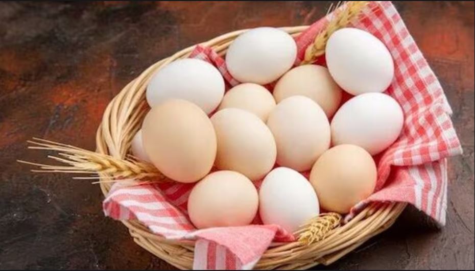 egg price west bengal 