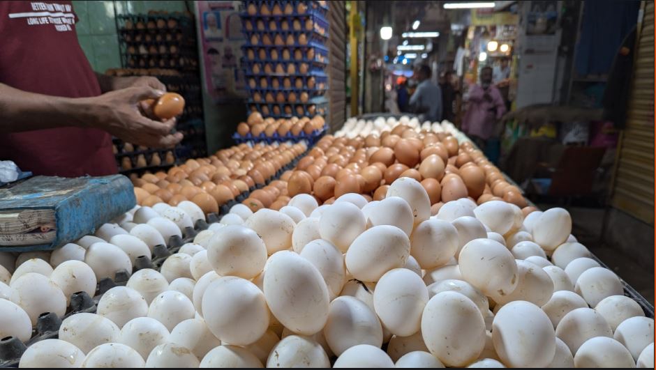 egg price west bengal 