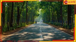একদিকে ভয়, অন্য দিকে বাঘ-দেখতে-পাওয়ার রোমাঞ্চ! কেমন আছে ঝাড়গ্রাম-বেলপাহাড়ির পর