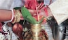 বিয়ের রাশিফল