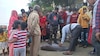 মৃত ডলফিন উদ্ধার