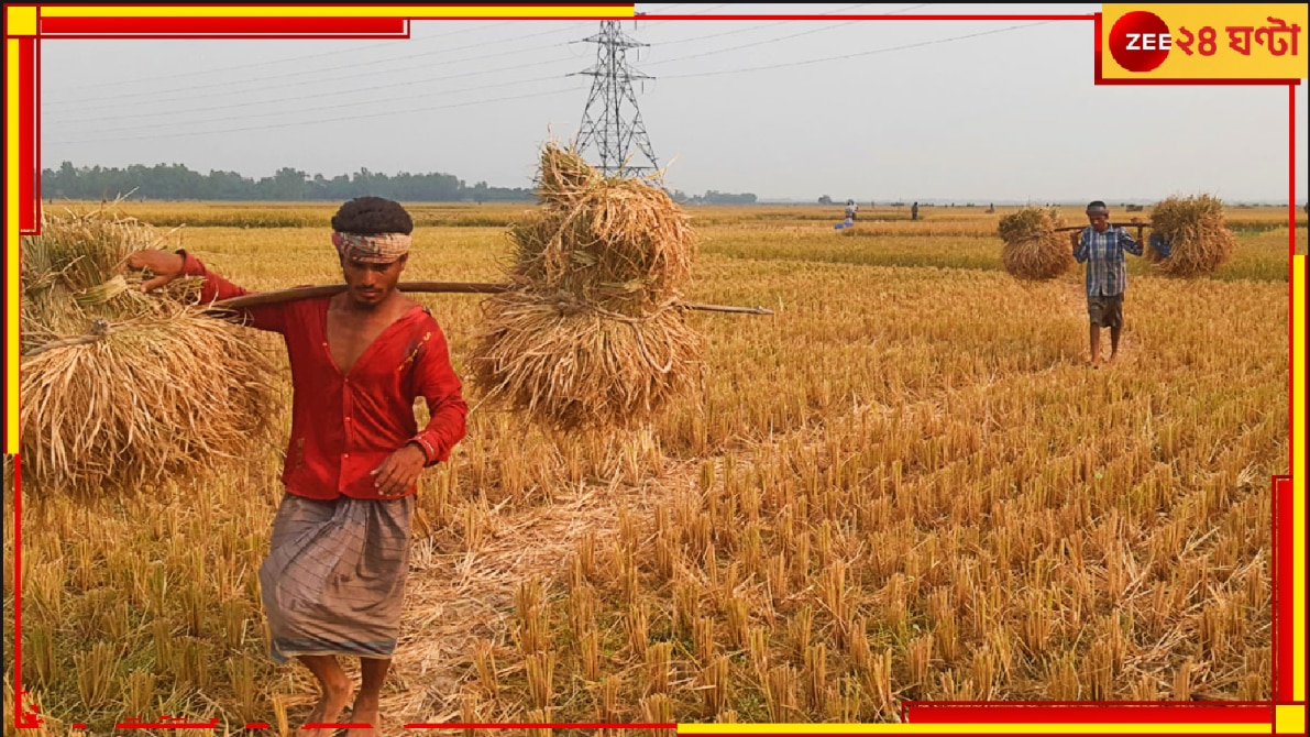 ধানজমিতে নামার সময়ে উল্টে গেল ট্রাক্টর! চাপা পড়ে মৃত্যু তিন যুবকের…। Hooghly Tractor Incident the car topples down three men dead