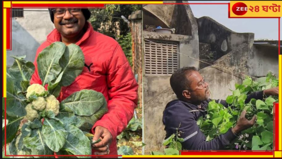 Vegetable Cultivation:  লাগে না কীটনাশক ও সার, জল দেয় যন্ত্র! &#039;স্মার্ট বাগানে&#039; ফলছে তাজা সবজি...