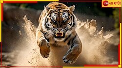 বাড়ির দোরগোড়ায় বাঘের হামলা! গুরুতর আহত নাবালক, তীব্র আতঙ্কে...