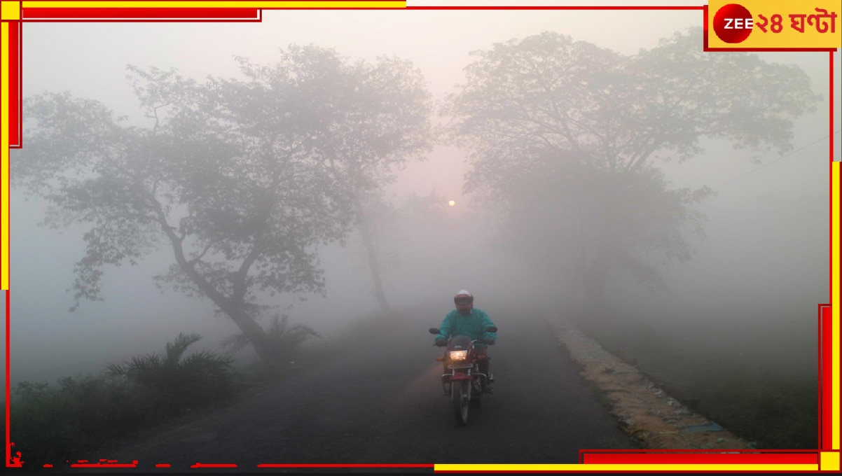 Bengal Weather Update: ঘন গাঢ় কুয়াশায় ঢাকল বাংলা! দৃশ্যমানতা নামল ৩০ মিটারের নীচে...