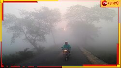ঘন গাঢ় কুয়াশায় ঢাকল বাংলা! দৃশ্যমানতা নামল ৩০ মিটারের নীচে...