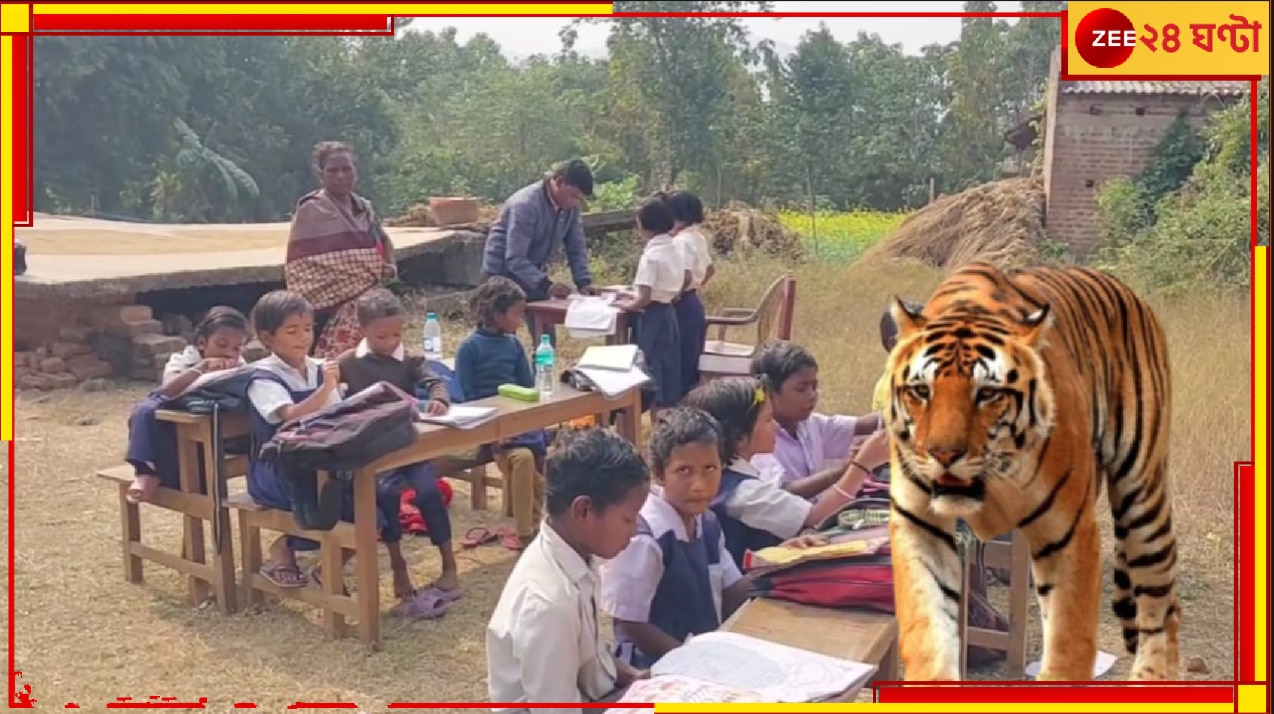 উলটপুরাণ! বাঘের আতঙ্কে সবাই যখন ঘরে, তখন খোলা আকাশের নীচে স্কুল করছে কচিকাঁচারা…।Tiger in Purulia people scared and confined themselves but children are under the sky reading in school