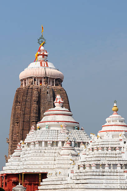 Puri Jagannath Temple Neela Chakra