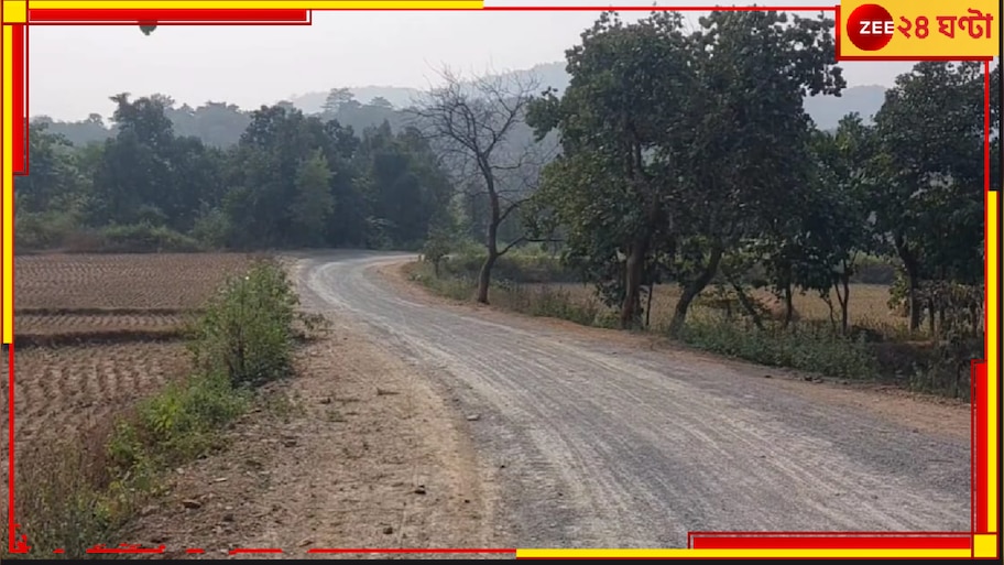 Tiger in Purulia: বড়দিনেও বাঘিনীর আতঙ্ক! সারাদিন পর্যটকশূন্যই পুরুলিয়ার বান্দোয়ান...