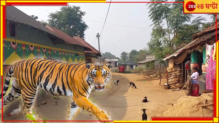 Purulia Tiger: জঙ্গলজুড়ে নাকাবন্দি, বনকর্মীদের ঘোল খাইয়ে ছাগল মেরে ডেরায় ফিরছে যমুনা