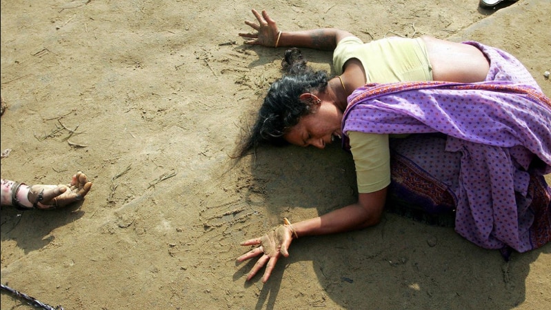 The Tsunami in India, Cadlore