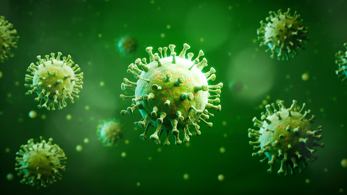 Is 'Dinga Dinga' Virus Spreads Outside