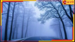জাঁকিয়ে ঠান্ডা এ বছর আর নয়, এখন শুধুই কুয়াশার পরত! এবার নতুন বছরে নতুন শীত!