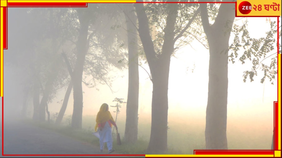 Bengal Weather Update: বছর শুরুতেই নামবে পারদ, ঘন কুয়াশার সতর্কবার্তা! বছরে শুরু নতুন শীত দিয়ে... 