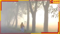 বছর শুরুতেই নামবে পারদ, ঘন কুয়াশার সতর্কবার্তা! বছরে শুরু নতুন শীত দিয়ে...