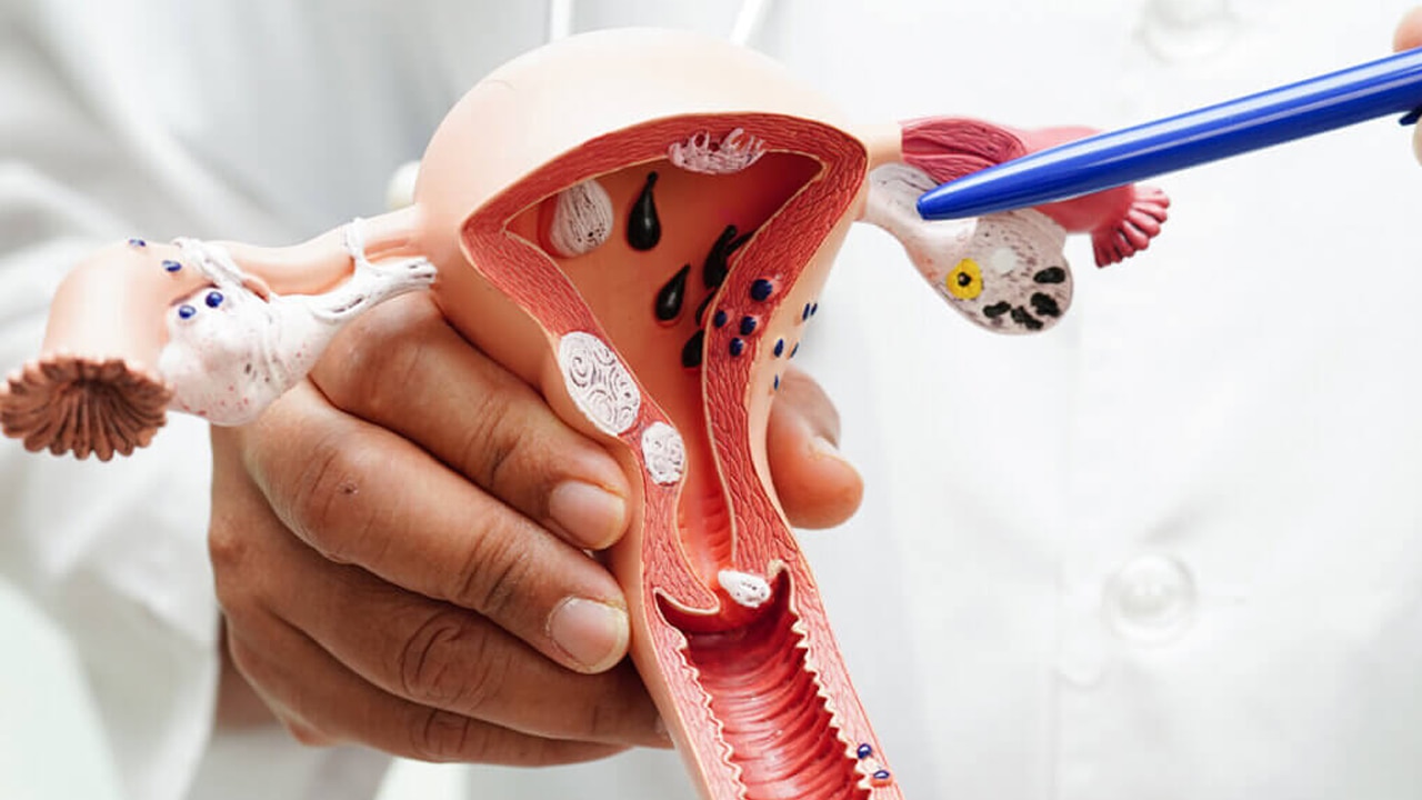 চিকিত্সা জগতে সাফল্য চিকিত্সা জগতে সাফল্য