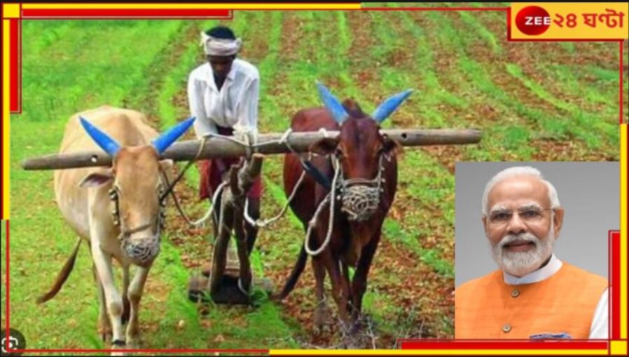Farmers Insurance: নতুন বছরে নজরে কৃষি, প্রধানমন্ত্রী ফসল বিমা নিয়ে বড় ঘোষণা কেন্দ্রের!