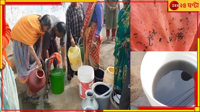 Dirty Water in Purulia: পুরসভার পানীয় জলে পোকা! জল কিনে খেতে হচ্ছে এলাকাবাসীকে...