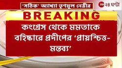 Mamata on Pradip Bhattacharya | তাঁকে নিয়ে প্রদীপের মন্তব্য 'সঠিক', মন্তব্য মমতার | Zee 24 Ghanta