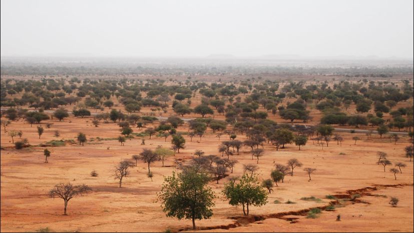 Sahel, North Africa 