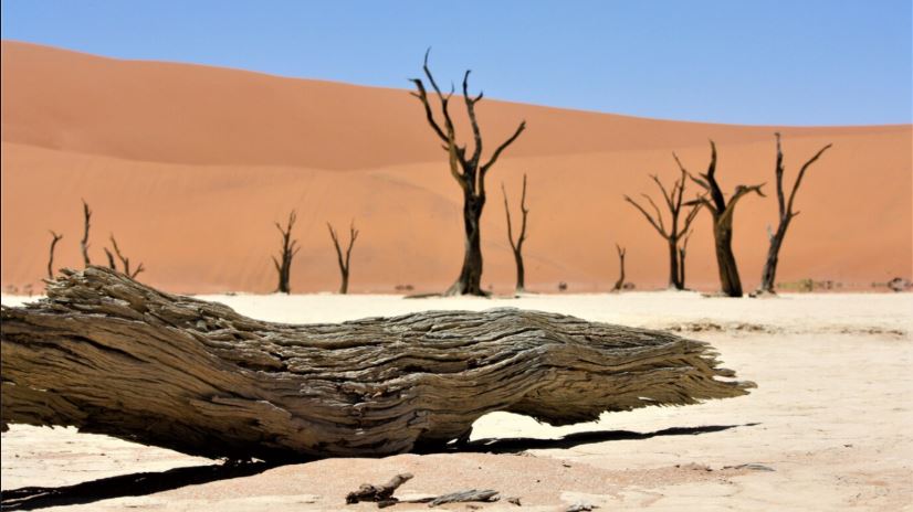 Danakil Desert, East Africa