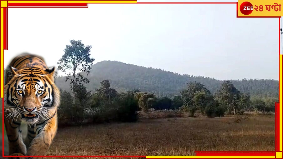 Purulia Tiger: গলায় নেই রেডিও কলার, সন্ধে নামলেই ঘরবন্দি আতঙ্কিত মানুষজন, ৯ দিন ধরে বনকর্মীদের ঘোল খাওয়াচ্ছে বাঘ