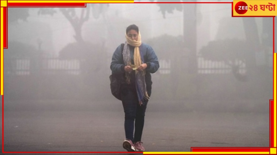 WB Weather Update: আসছে পশ্চিমী ঝঞ্ঝা, উধাও হবে শীত! সপ্তাহের শেষে আচমকা হাওয়া বদল বঙ্গে?