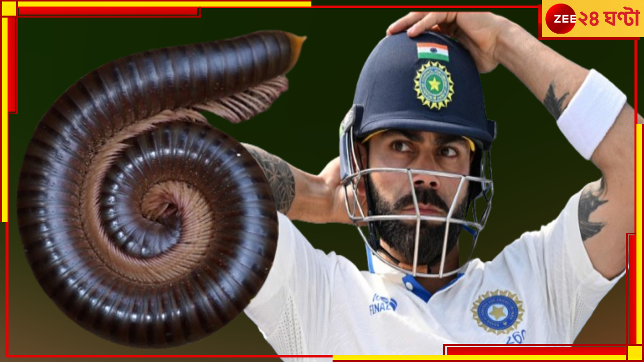 Virat Kohli: 'নির্বোধের মতো কাজকর্ম বন্ধ করুক'! কিংকে কেন্নো বানালেন চ্যাপেল Virat Kohli: 'নির্বোধের মতো কাজকর্ম বন্ধ করুক'! কিংকে কেন্নো বানালেন চ্যাপেল