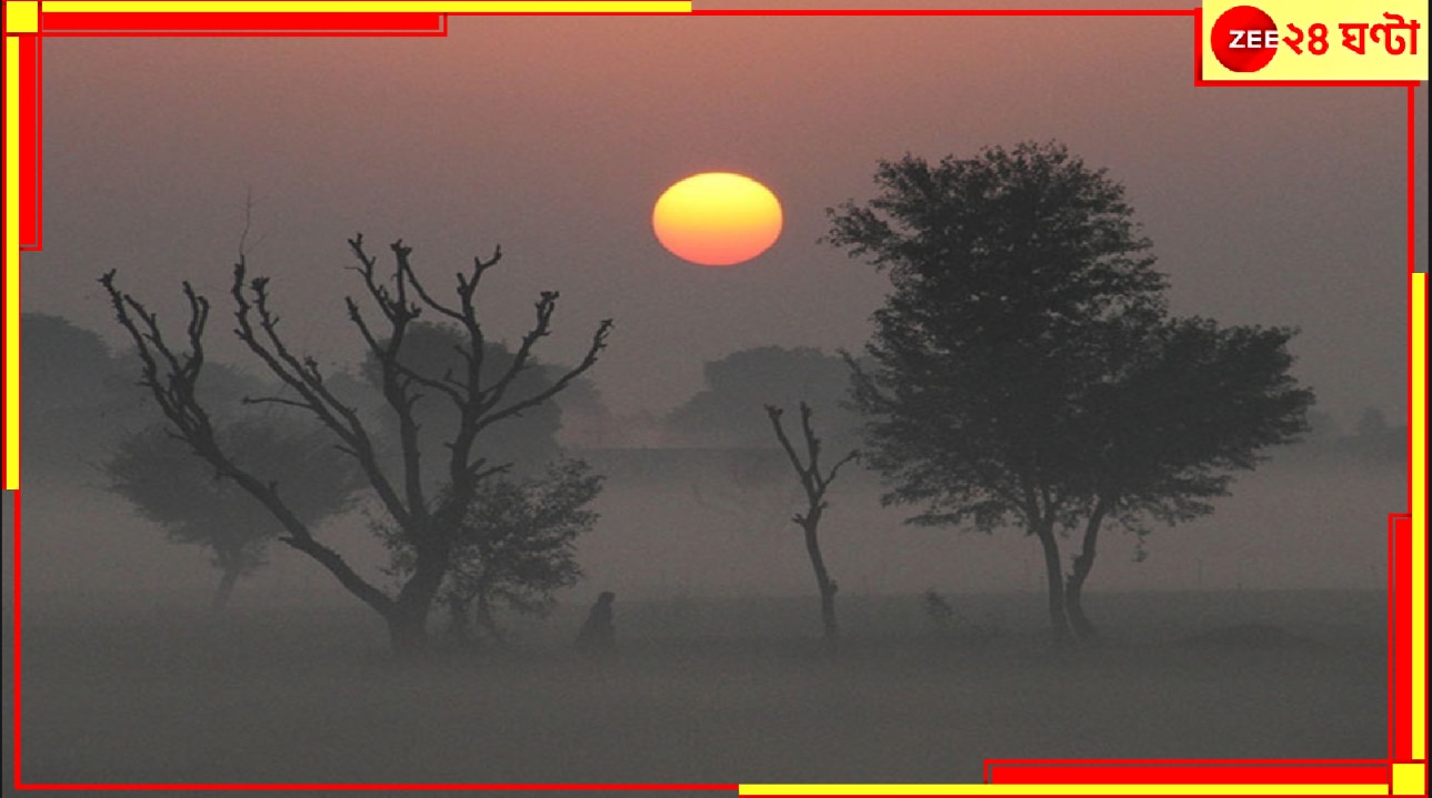 Bengal Weather Update: শীতের দ্বিতীয় স্পেলের প্রথমদিনের ভোরেই সারা বাংলা ডুবল ঘন গাঢ় কুয়াশার গভীরে...