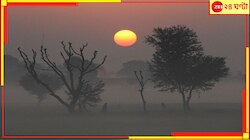 শীতের দ্বিতীয় স্পেলের প্রথমদিনের ভোরেই সারা বাংলা ডুবল ঘন গাঢ় কুয়াশার গভীরে...