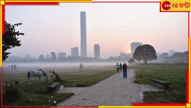 WB Weather Update: পশ্চিমী ঝঞ্ঝায় বাধা জাঁকিয়ে ঠান্ডা! আবহাওয়ার আপডেটে মন ভাঙবে শীতপ্রেমীদের... 