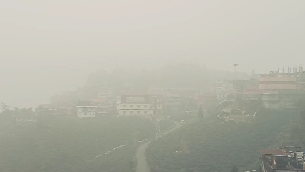 Coldest Darjeeling