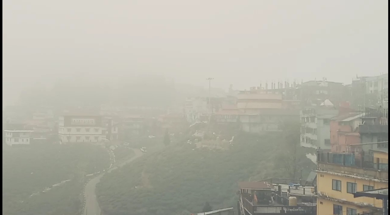 Coldest Darjeeling