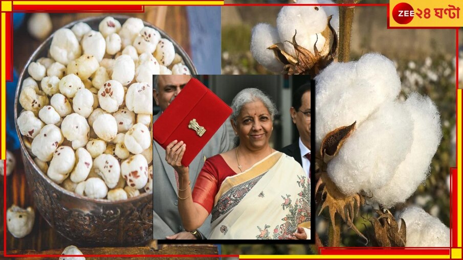Union Budget 2025: বাজেটে মাখানা-কটন উৎপাদনে জোর নির্মলার! ঘোষণা ধন ধান্য স্কিমের...