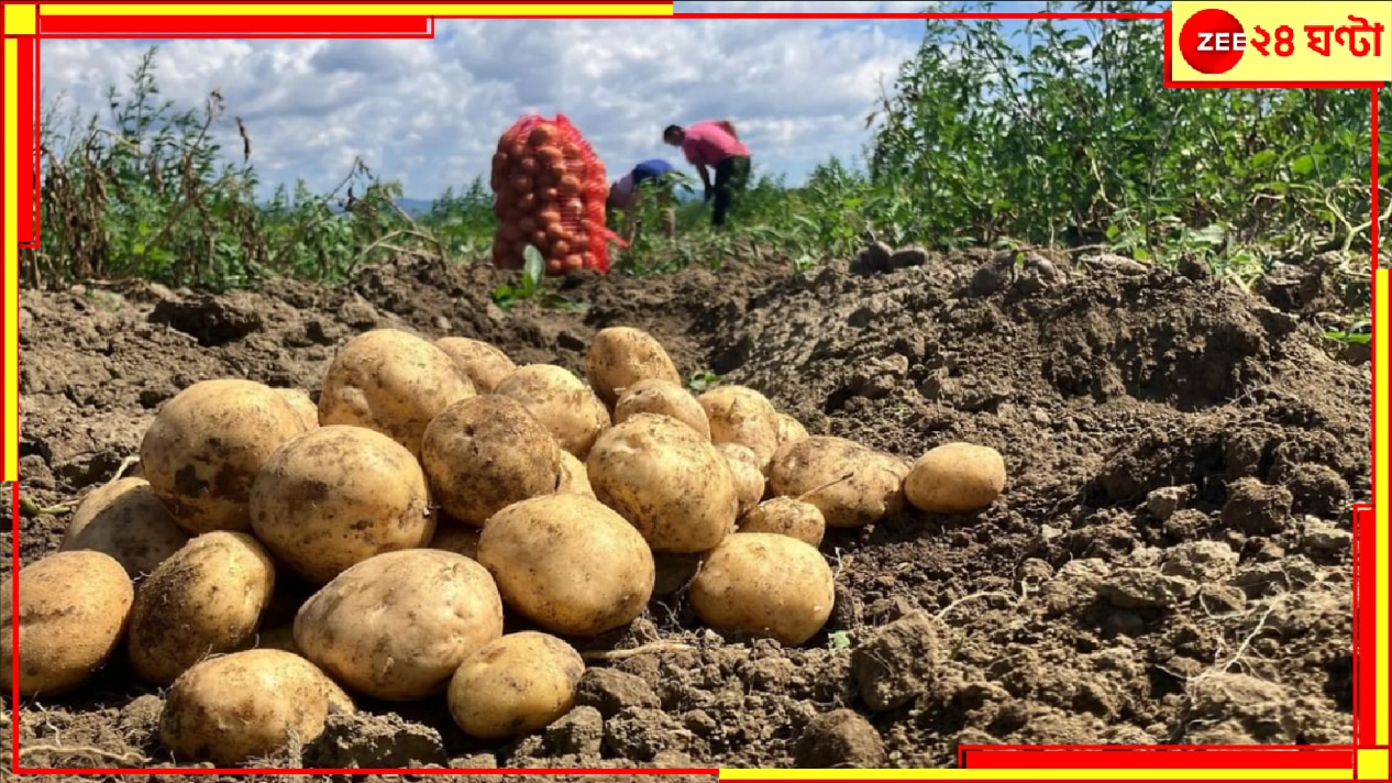 Potato Farmers in Anxiety: একে বীজবপনে দেরি, তায় ঘন কুয়াশার পরত, এর পর রোগ হলে কী হবে? মাথায় হাত আলুচাষিদের...