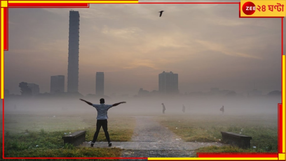 Saraswati Puja Weather Updates: শীত বিদায়ের আগে হবে পারদ পতন? ঢুকছে পশ্চিমী ঝঞ্ঝা, কুয়াশায় ঢাকা চারিদিক...