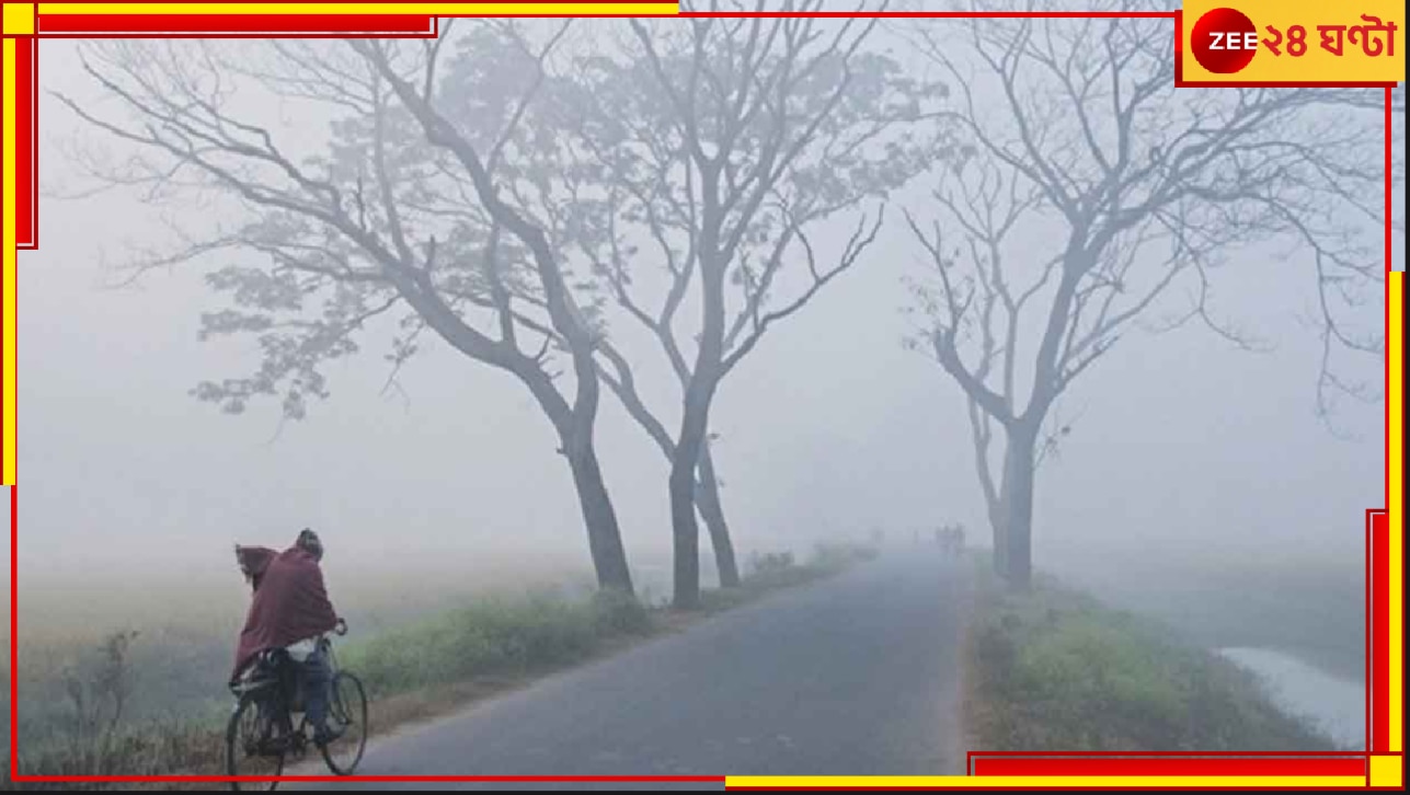 Cold wave: জেলায় জেলায় বইছে শৈত্য প্রবাহ! শেষরাত থেকে ভোর পর্যন্ত দেশ জুড়ে কুয়াশার পরত...