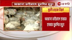 H5 Bird Flu | মুরগির মাংসে রহস্যময় ভাইরাস! রাজ্যকে দ্রুত পদক্ষেপের নির্দেশ কেন্দ্রের | Zee 24 Ghanta