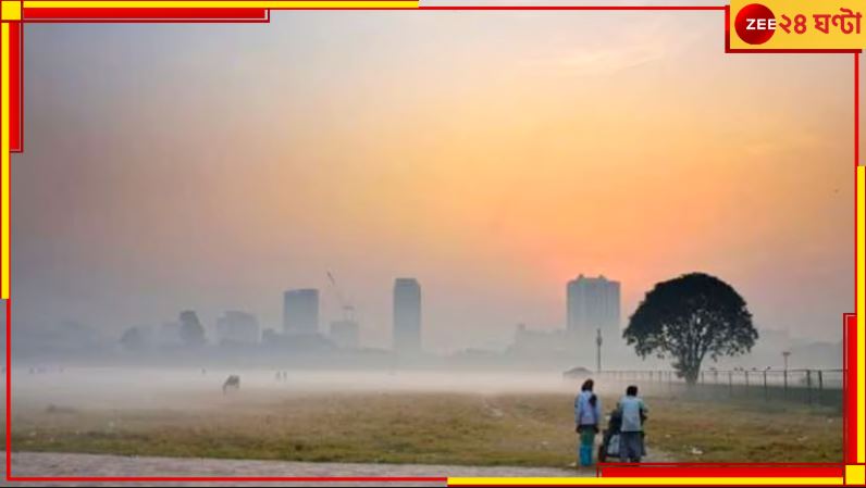 WB Weather Update: হচ্ছেটা কী! একরাতে হু হু করে নামল পারদ, ভ্যালেন্টাইনস ডে-তে শীতের আমেজ...