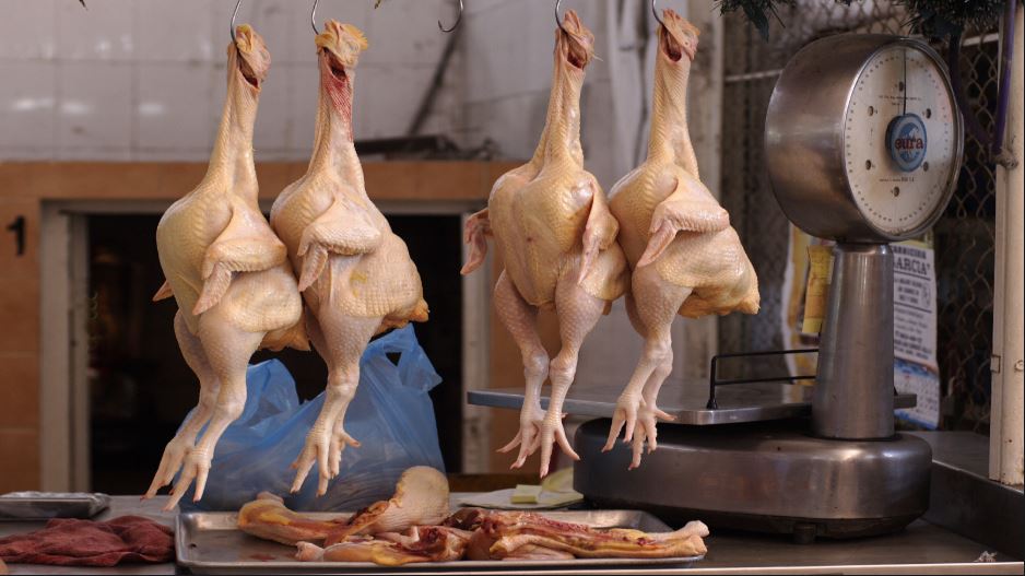 Chicken price | Bird Flu