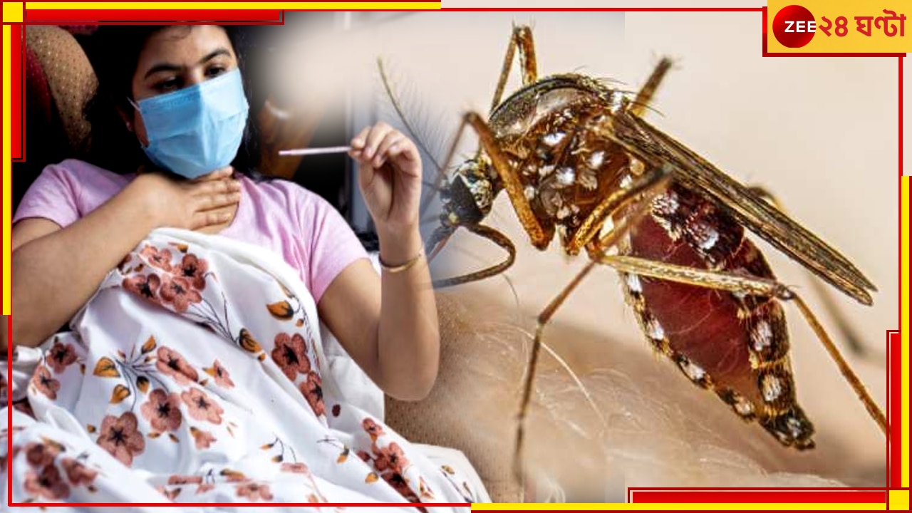 Dengue: ডেঙ্গি ঠেকাতে মশার বিরুদ্ধে যুদ্ধ, জীবিত অথবা মৃত, ধরে আনলেই পার পিস দেড় টাকা