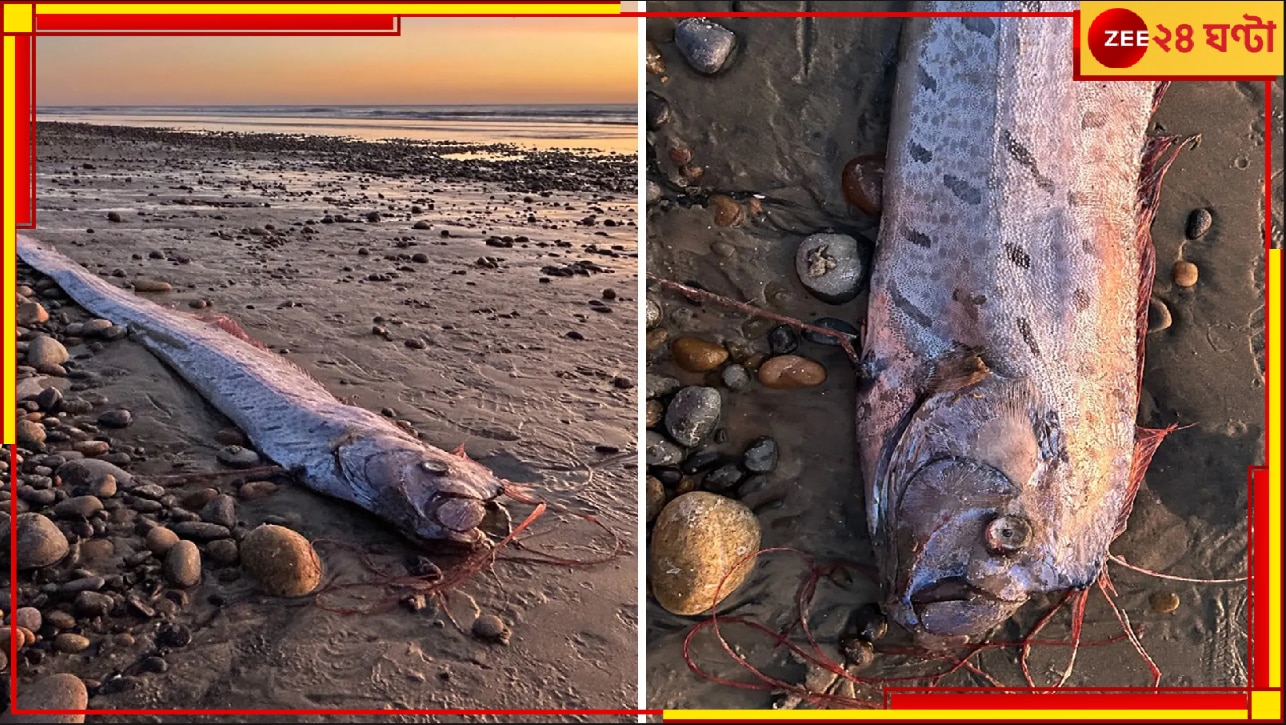 Mysterious Deep-Sea Doomsday Fish: সৈকতে উঠে এল ভয়ানক মাছ! এই সমুদ্রদানবকে দেখা গেলেই প্রলয় আসে পৃথিবীতে...