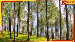 আইফোন, ল্যাপটপ কেনা হচ্ছে বন তহবিলের টাকায়! উত্তরাখান্ডে ৬০৭ কোটির জালিয়াতি...