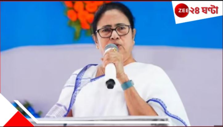 TMC: বদলে ভয়? ছাব্বিশের ভোটে অন্তর্ঘাতের আশঙ্কা তৃণমূলের অন্দরেই!