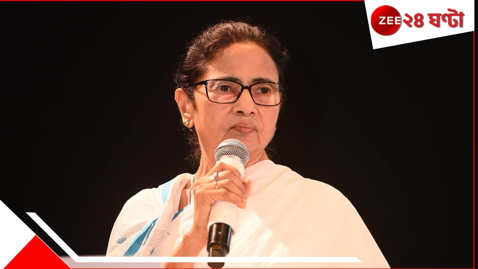 TMC Mega Meet: জোড়াফুলের মেগা সম্মেলন! কোন কোন কর্মসূচিতে নজর তৃণমূলের?