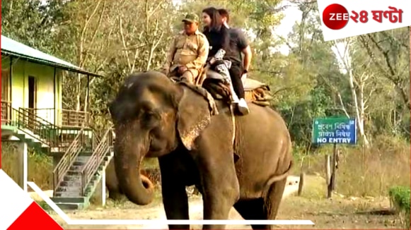 Elephant Safari in Garumara: কম খরচে হাতি সাফারি! গরুমারার অত্যাধুনিক ব্যবস্থায় খুশি পর্যটকরা...