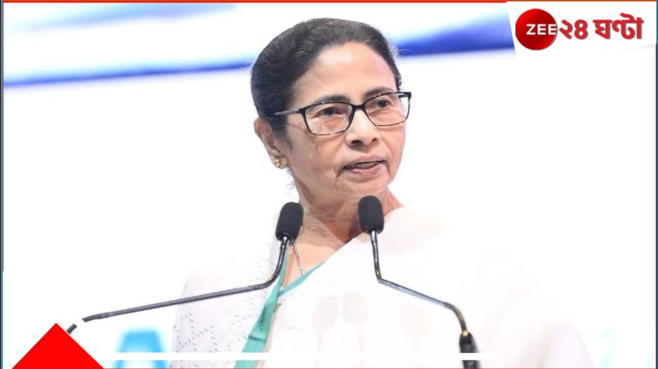 Mamata Banerjee on  I-PAC: &#039;আই প্যাক-এর নামে অপপ্রচার চলছে, ওদের সঙ্গে নিয়েই কাজ করতে হবে...&#039; 