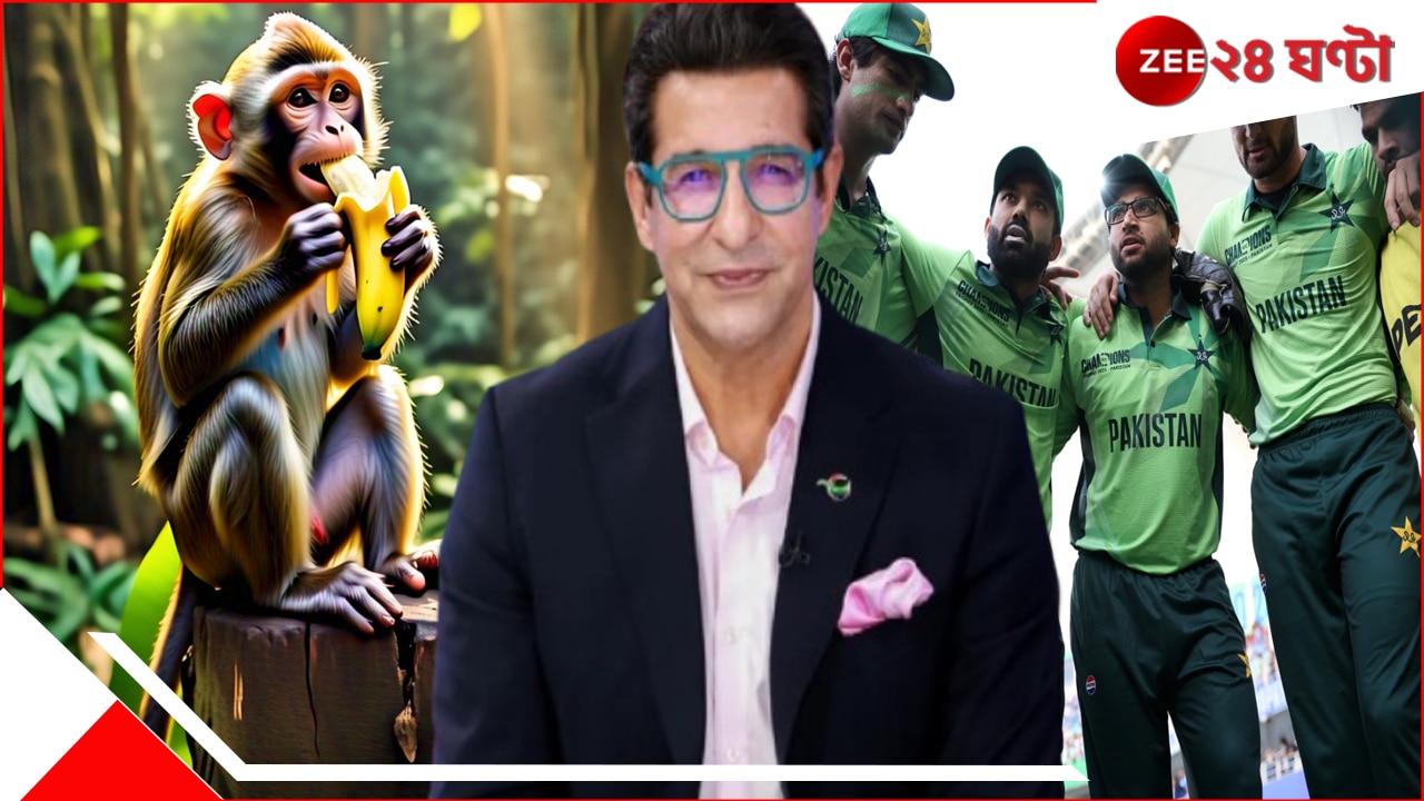 WATCH | Wasim Akram On Pakistan: &#039;এত কলা বাঁদরেও খায় না&#039;! ভাইরাল ওয়াসিম আক্রম, ভুলেও মিস করবেন না ভিডিয়ো...