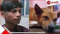 চোর-পোষ্যের সম্মুখ সমর! চোরকে কামড়াল কুকুর, পাল্টা কামড় দিল মানুষ, তারপর...